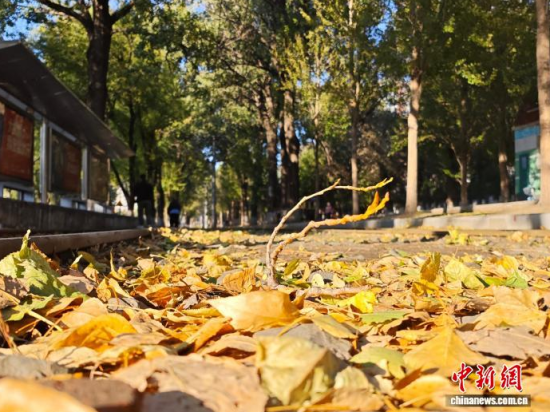 S54·܉܇ؾh(hun)߅L(fng)òS~䁝M·档 z