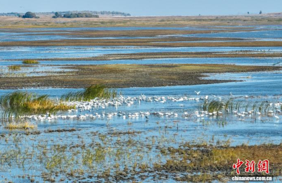 10��16�գ�����ĪĪ����Ҽ���Ȼ���o�^(q��)��(n��i)�������ڑ�ˮ��(�o�˙C��Ƭ)�w��� �z