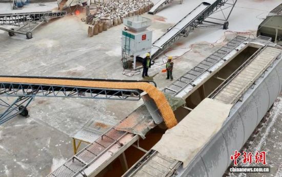 11��8�գ�ɢ�Z��������ԭ�Z�쌣�þ����b܇���I(y��)�������� �z