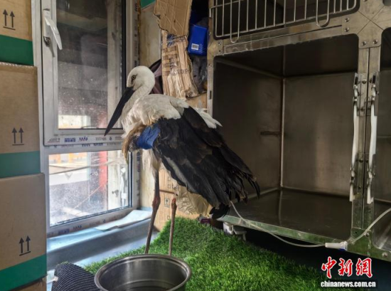 �܂��Ė|�����X���ڽ����ί�����ʯ���� �z