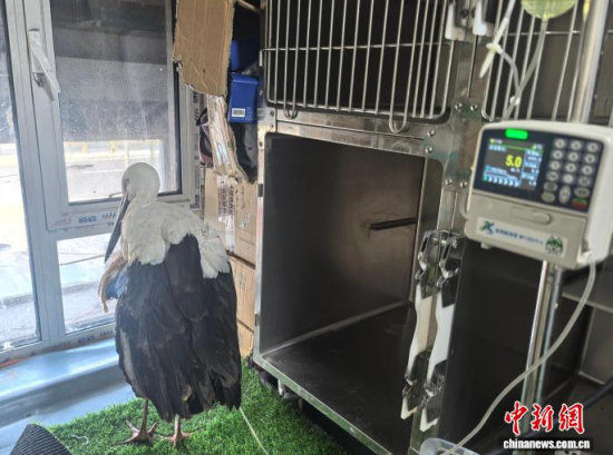 �܂��Ė|�����X���ڽ���ݔҺ�ί�����ʯ���� �z