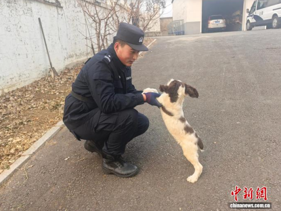 ���Ҳ������c�[�����B(y��ng)�H�ܶ�����ʯ���� �z