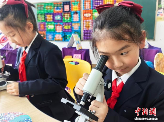 �W(xu��)��ͨ�^�@΢�R�^���G�~��(x��)������ʯ���� �z