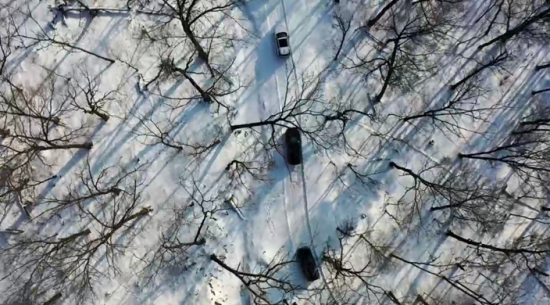 ���c���{܇��Խɭ���� �Ժ���ί���������D