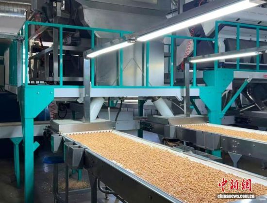 �������a(ch��n)����(�L�����P(gu��n)���D)