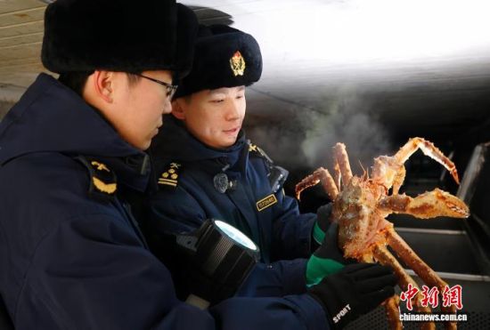 �L�����P���٬q�����P�P�T���M�ڵ���з�_չ��򞹤�����̽��V �z