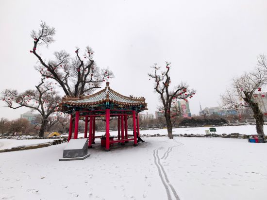 延吉市委宣傳部/供圖 延吉市委宣傳部/供圖