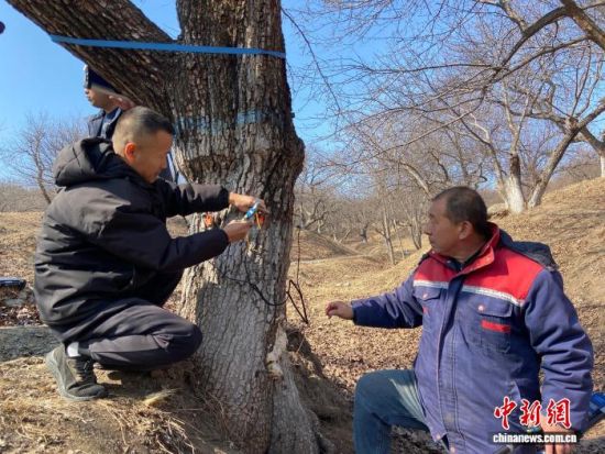 �����ˆT���ڌ���������������w�z�������� �z