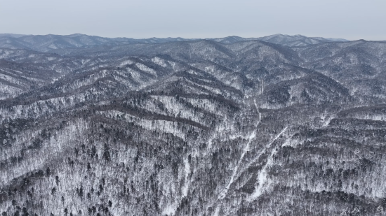 ���AƤ���(zh��n)ĵ���X�� �������ý�w���Ĺ��D