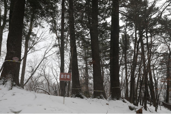 �ķ��������ڵ��� �������ý�w���Ĺ��D