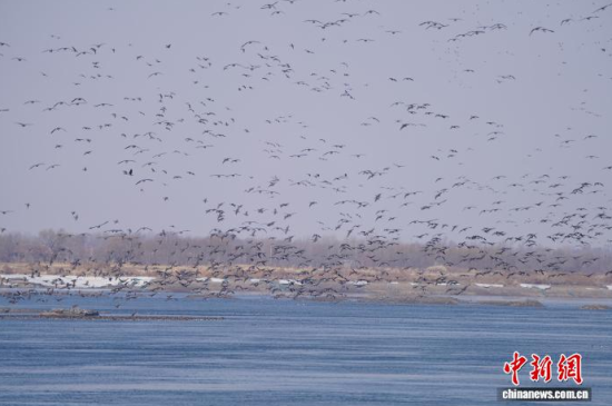 �B��^�������Ժӡ������� �z