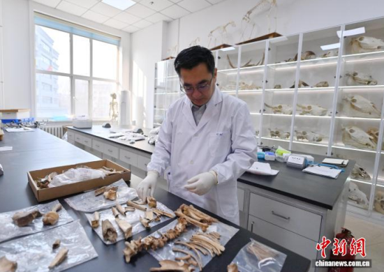 3��20���������L�����̴�������ӱ��������� �z